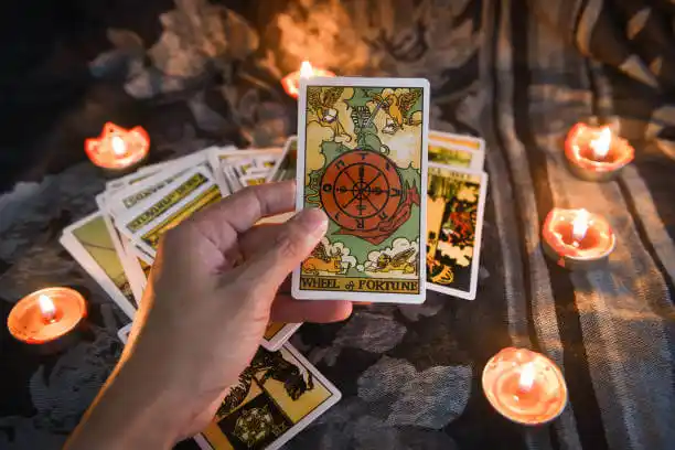 tarot cards Hampton